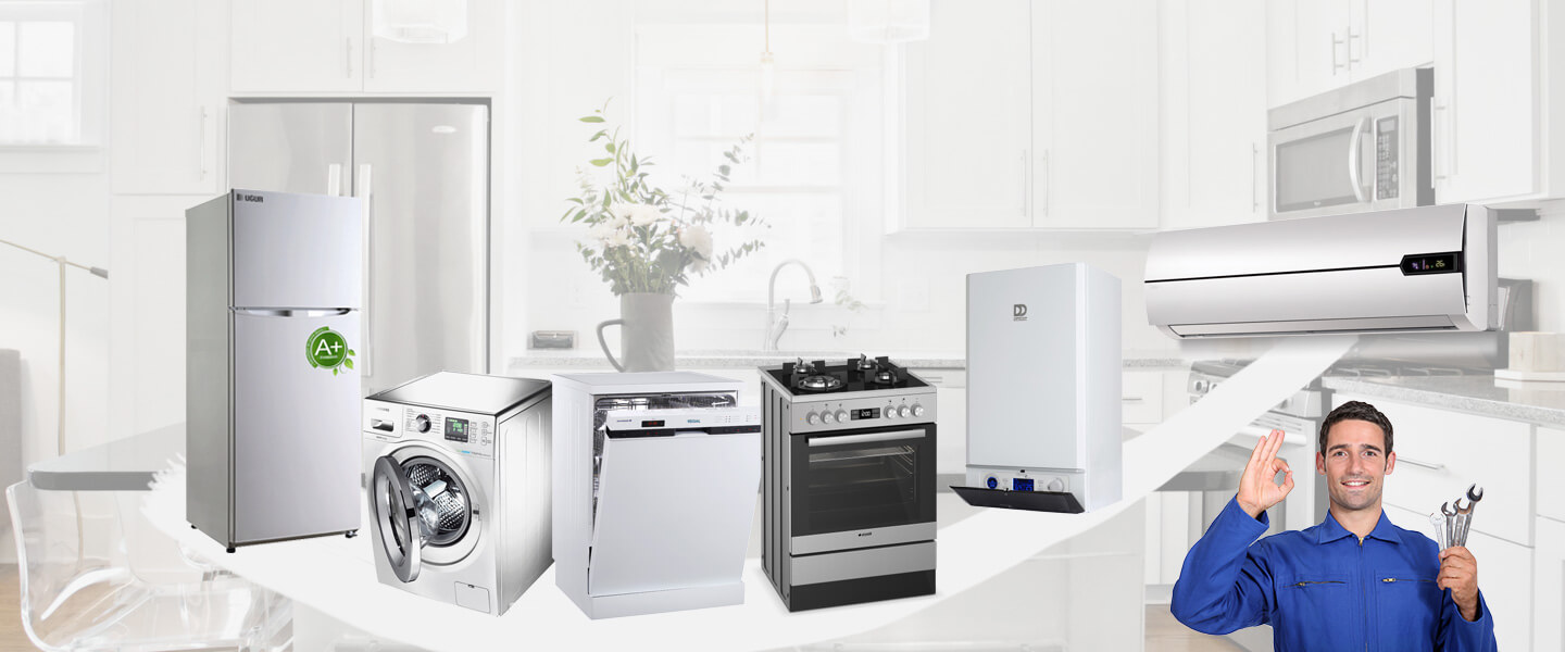 Boyalık Philips Servisi